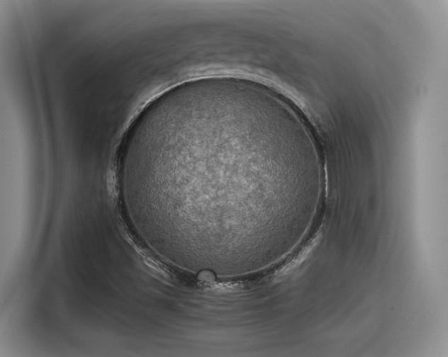 X0000115391501200911101442