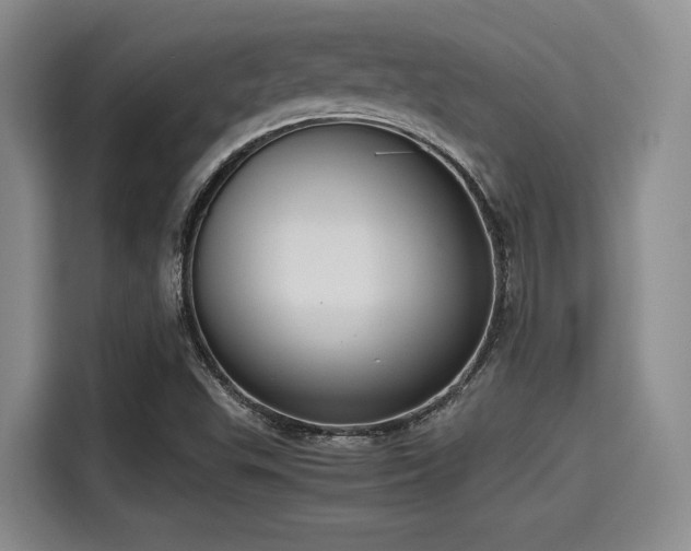 X0000115391503200911101442