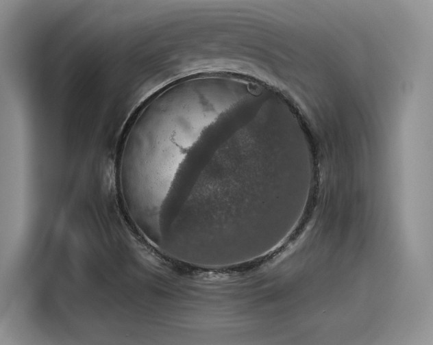 X0000115391505200911101442