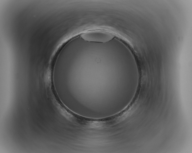 X0000115391506200911101442