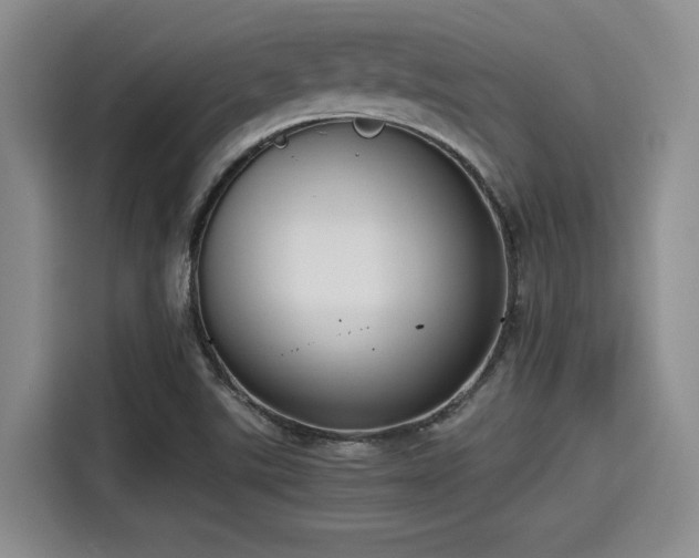 X0000115391507200911101442