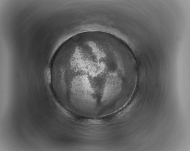 X0000115391509200911101442