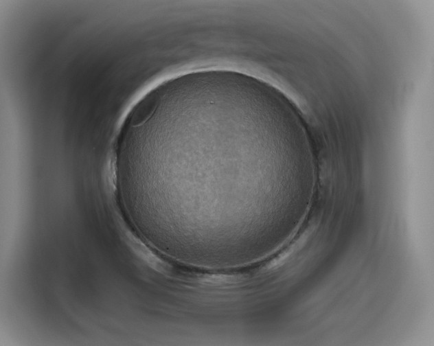 X0000115391510200911101442