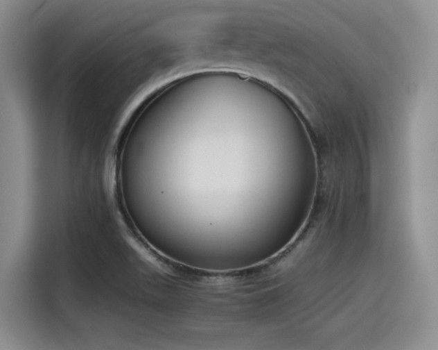 X0000115391511200911101442