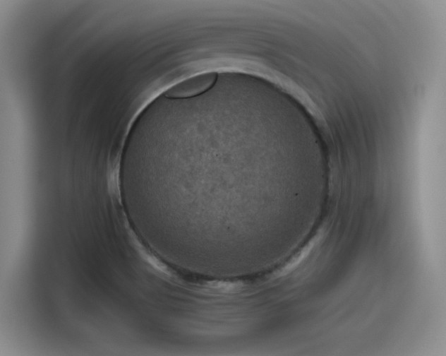 X0000115391513200911101442