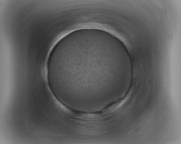 X0000115391517200911101442