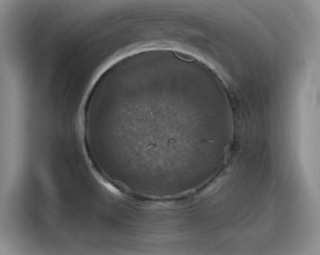 X0000115391519200911101442