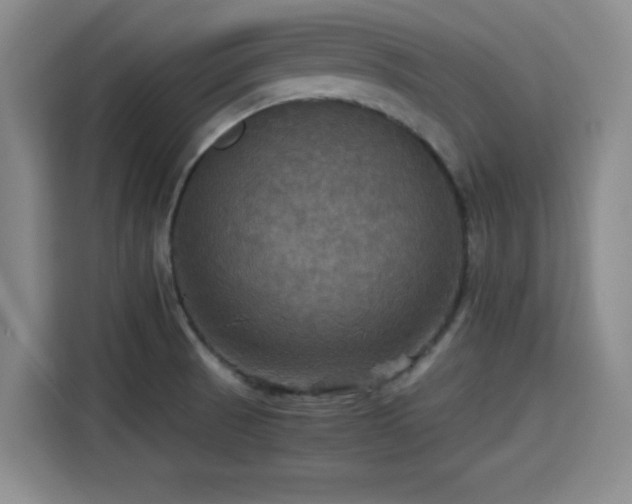 X0000115391521200911101442