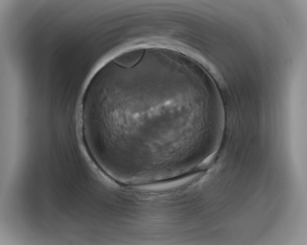 X0000115391522200911101442