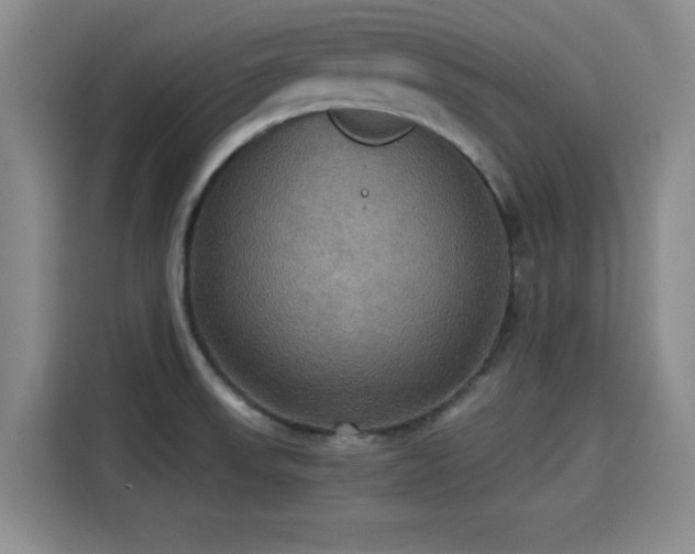 X0000115391523200911101442