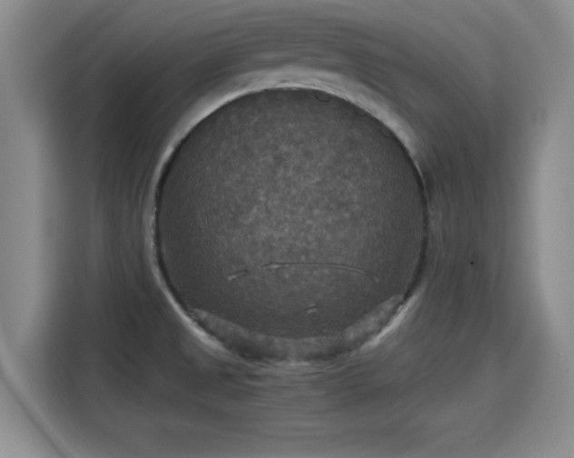 X0000115391525200911101442