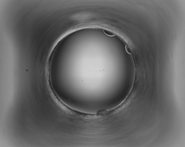 X0000115391526200911101442