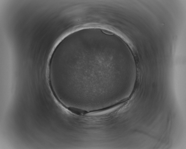X0000115391527200911101442