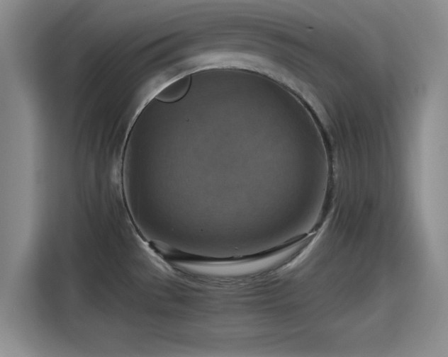 X0000115391529200911101442