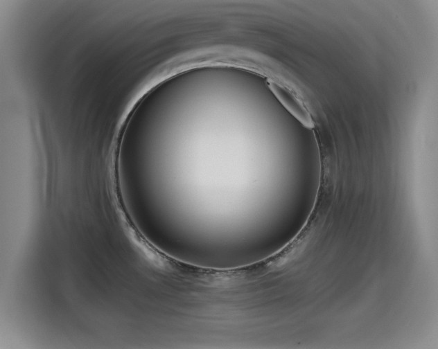 X0000115391530200911101442