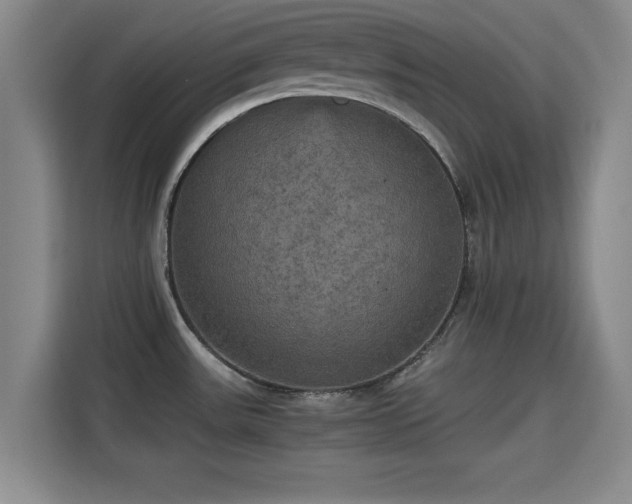 X0000115391531200911101442