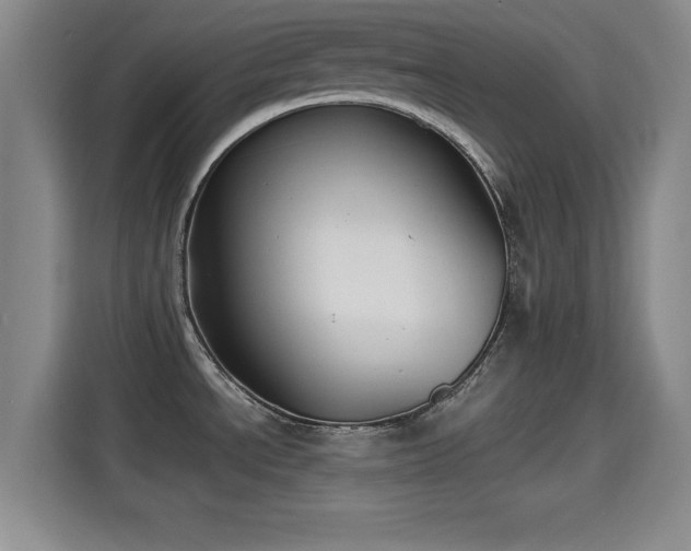 X0000115391534200911101442