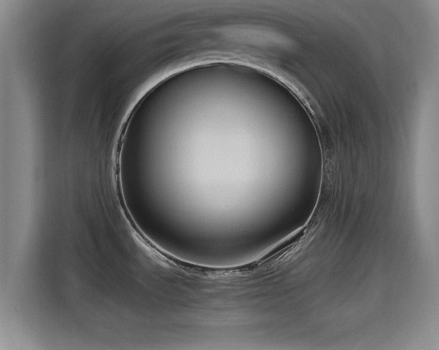 X0000115391535200911101442