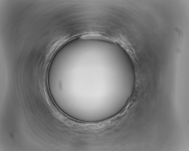 X0000115390001200911171506