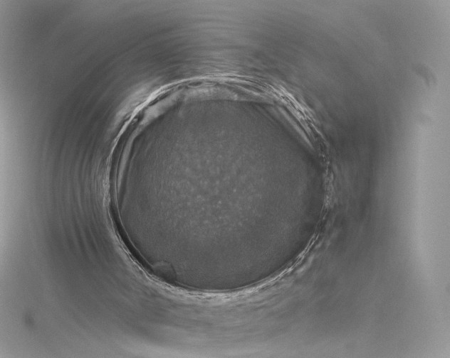 X0000115390002200911171506