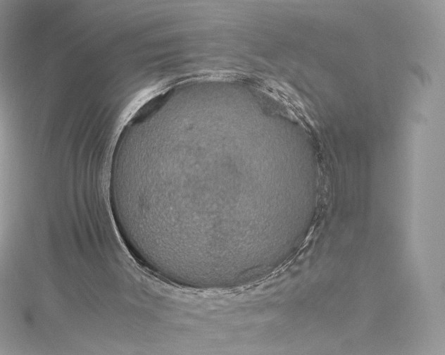 X0000115390003200911171506