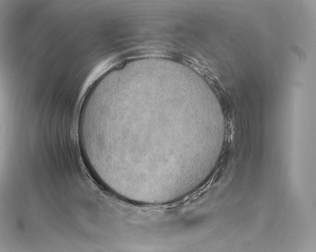 X0000115390004200911171506