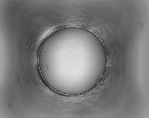 X0000115390005200911171506