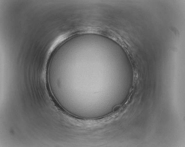 X0000115390006200911171506