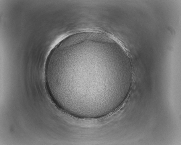 X0000115390008200911171506