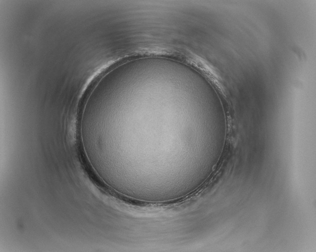 X0000115390012200911171506