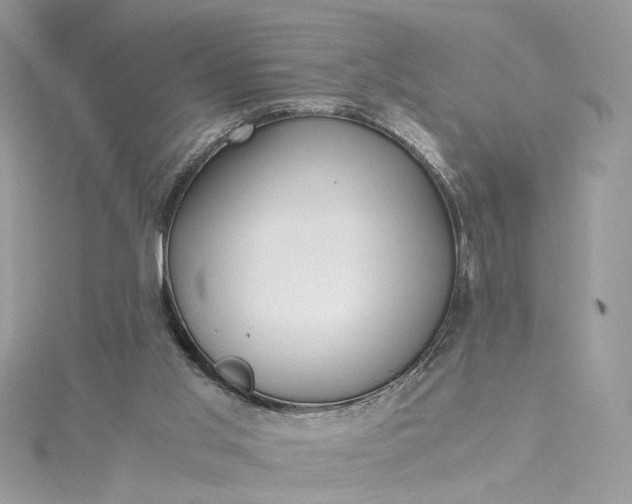 X0000115390013200911171506