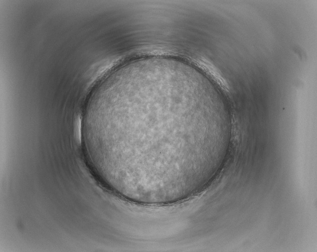 X0000115390014200911171506