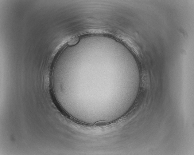 X0000115390015200911171506