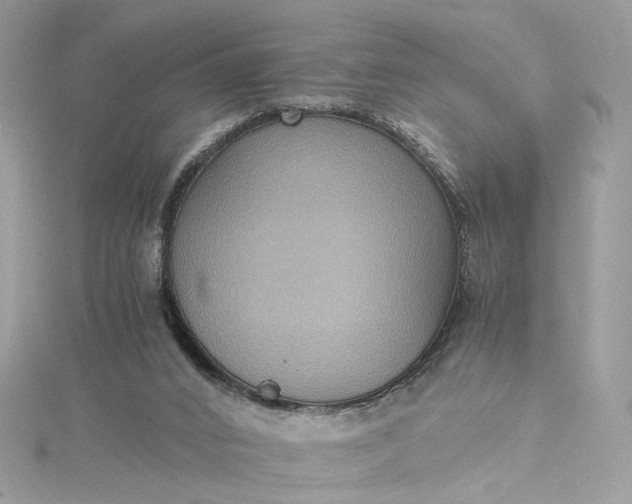 X0000115390016200911171506