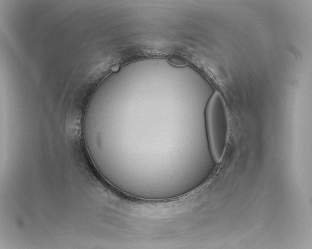 X0000115390017200911171506