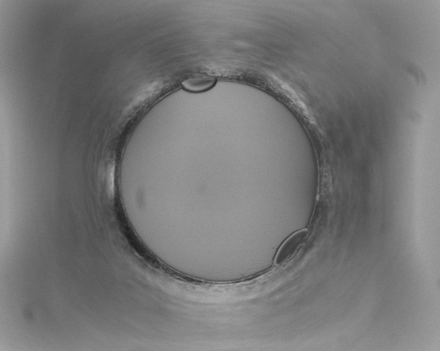 X0000115390019200911171506