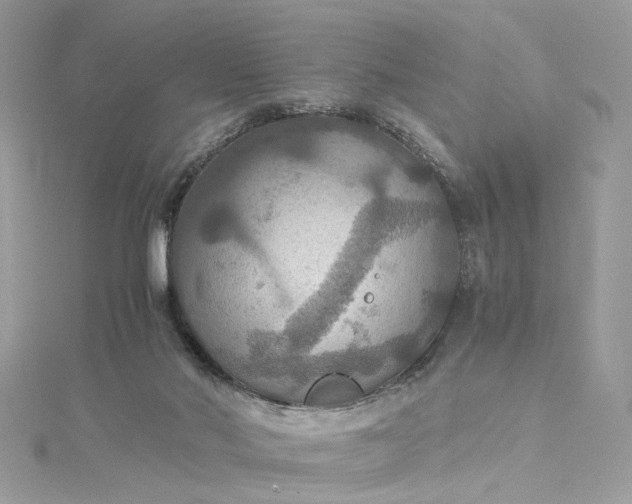 X0000115390022200911171506