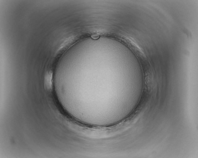 X0000115390024200911171506