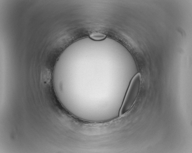 X0000115390025200911171506