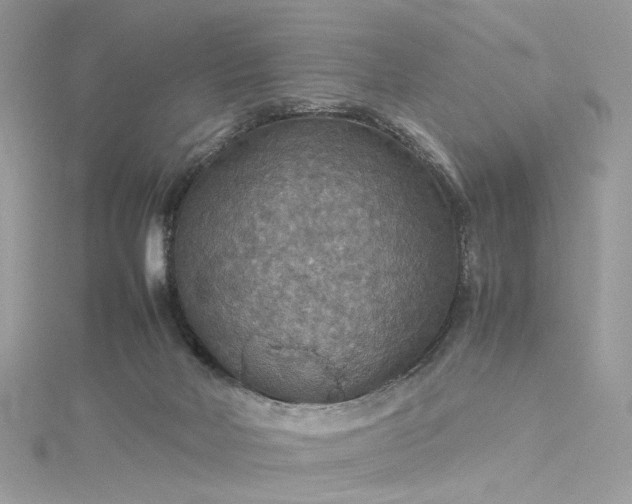 X0000115390026200911171506