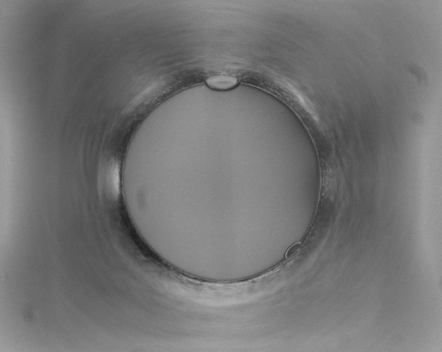 X0000115390027200911171505