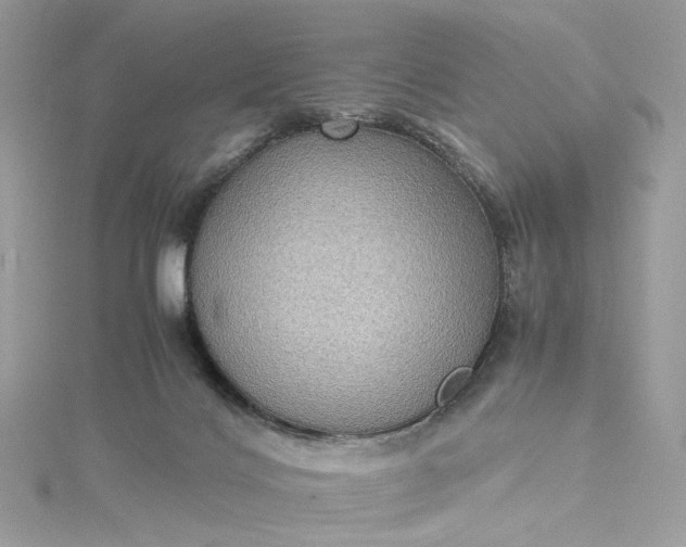 X0000115390028200911171505