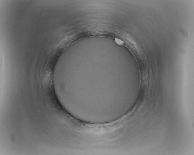 X0000115390029200911171505