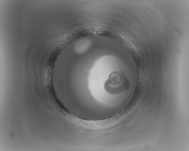 X0000115390030200911171505