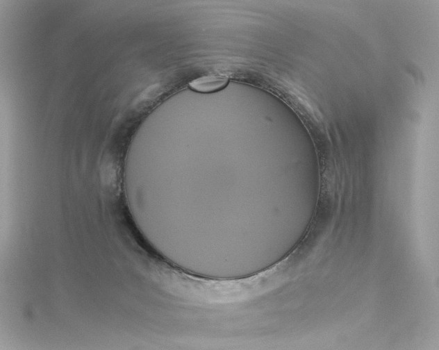 X0000115390031200911171505