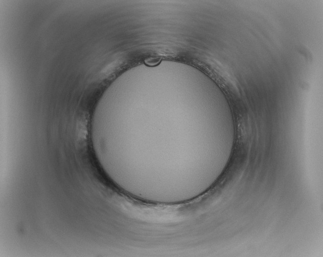 X0000115390032200911171505