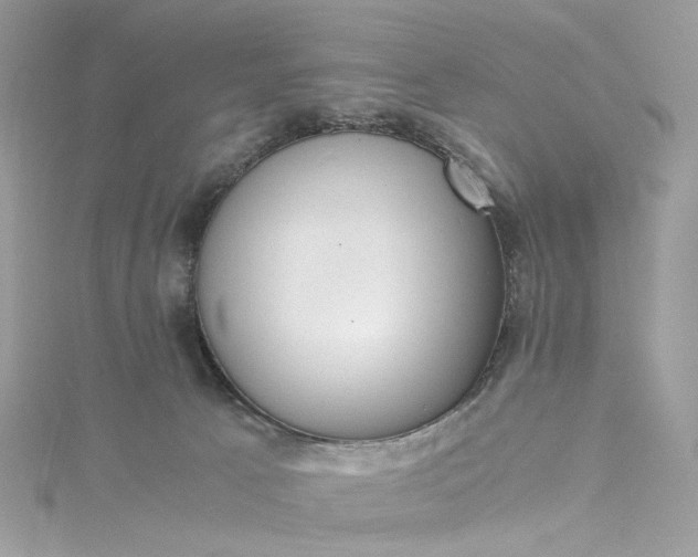 X0000115390033200911171505