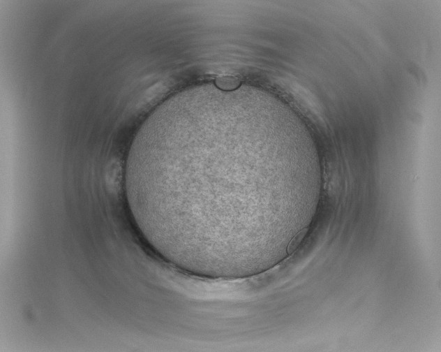 X0000115390036200911171505