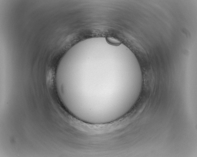 X0000115390038200911171505