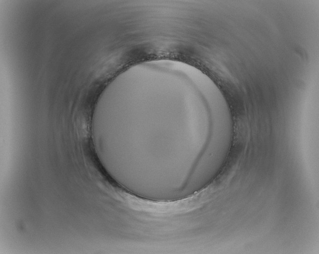 X0000115390039200911171505